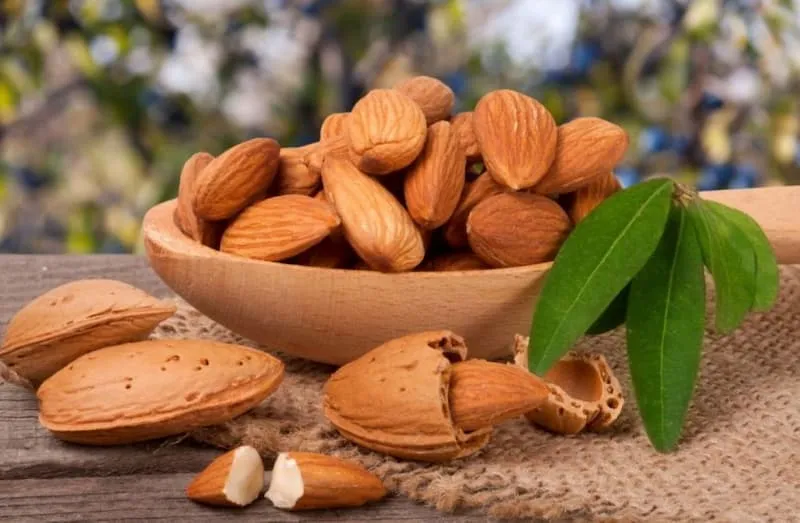قیمت خرید بادام پوست کاغذی + خواص، معایب و مزایا