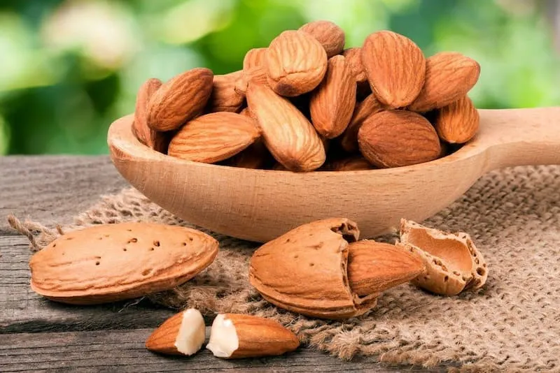 قیمت خرید بادام پوست کاغذی + خواص، معایب و مزایا